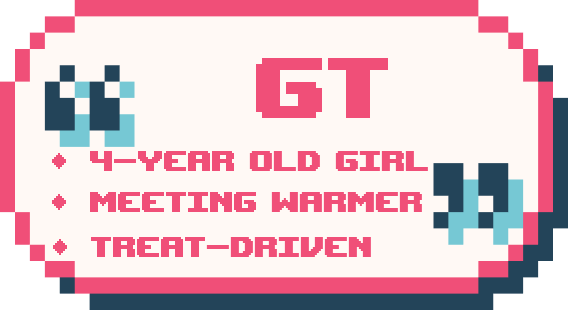 gtboard